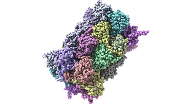 Scientists Discover Hundreds of Misfolded Proteins Linked to Cognitive Decline